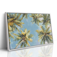 Summer Breeze Lifts Palm Stories