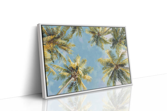 Summer Breeze Lifts Palm Stories