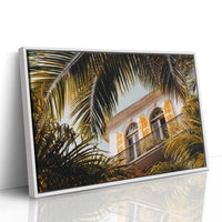 Golden Shutters Behind Palm Veils