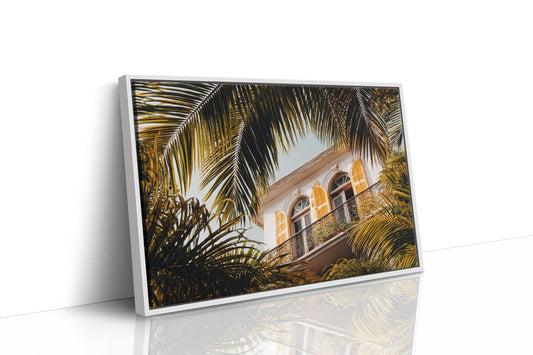Golden Shutters Behind Palm Veils