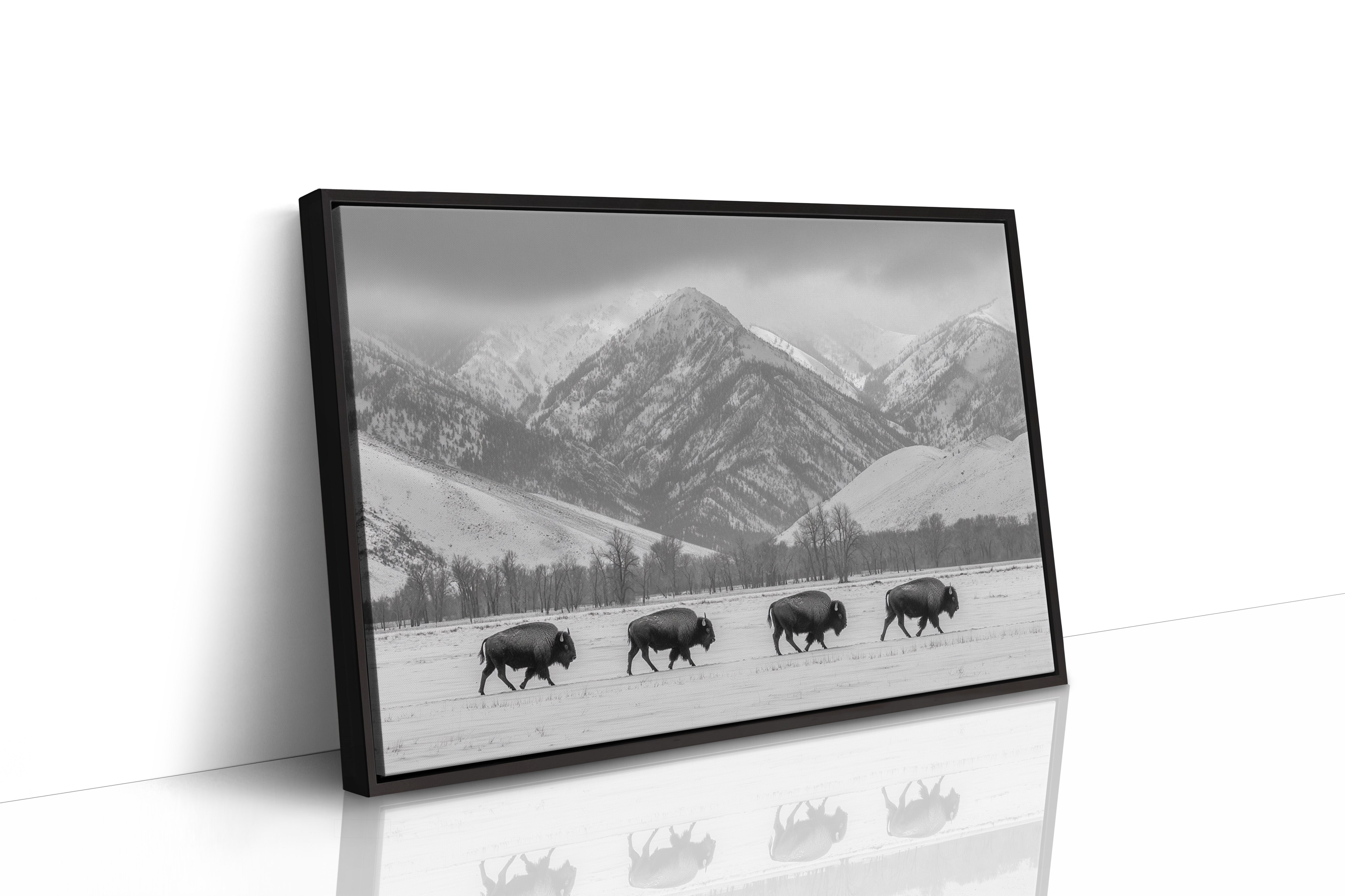Where the Buffalo Roam