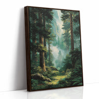 Where the Redwoods Breathe