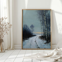 Pathway Through Winter's Embrace