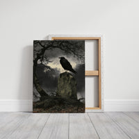 The Raven Keeps Watch