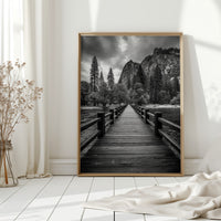 Journey Through Timbered Paths