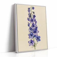 Delphinium Dreams: A Purple Study