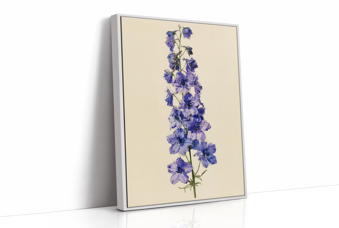 Delphinium Dreams: A Purple Study