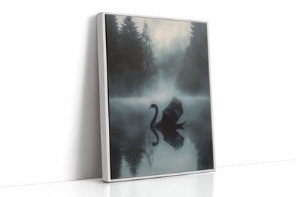 Black Swan in Morning Fog