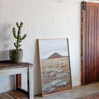 Red Mountain Meets Silver Sage