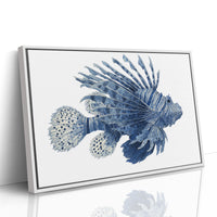 Ocean's Indigo Dancer Takes Flight
