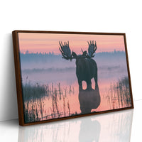 Bull Moose at First Light