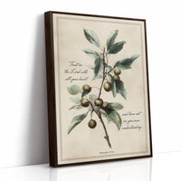 Olive Branch Carries Sacred Wisdom