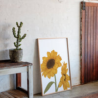 Golden Petals Greet Morning Sun