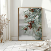 Frosted Pines Hold Their Secrets