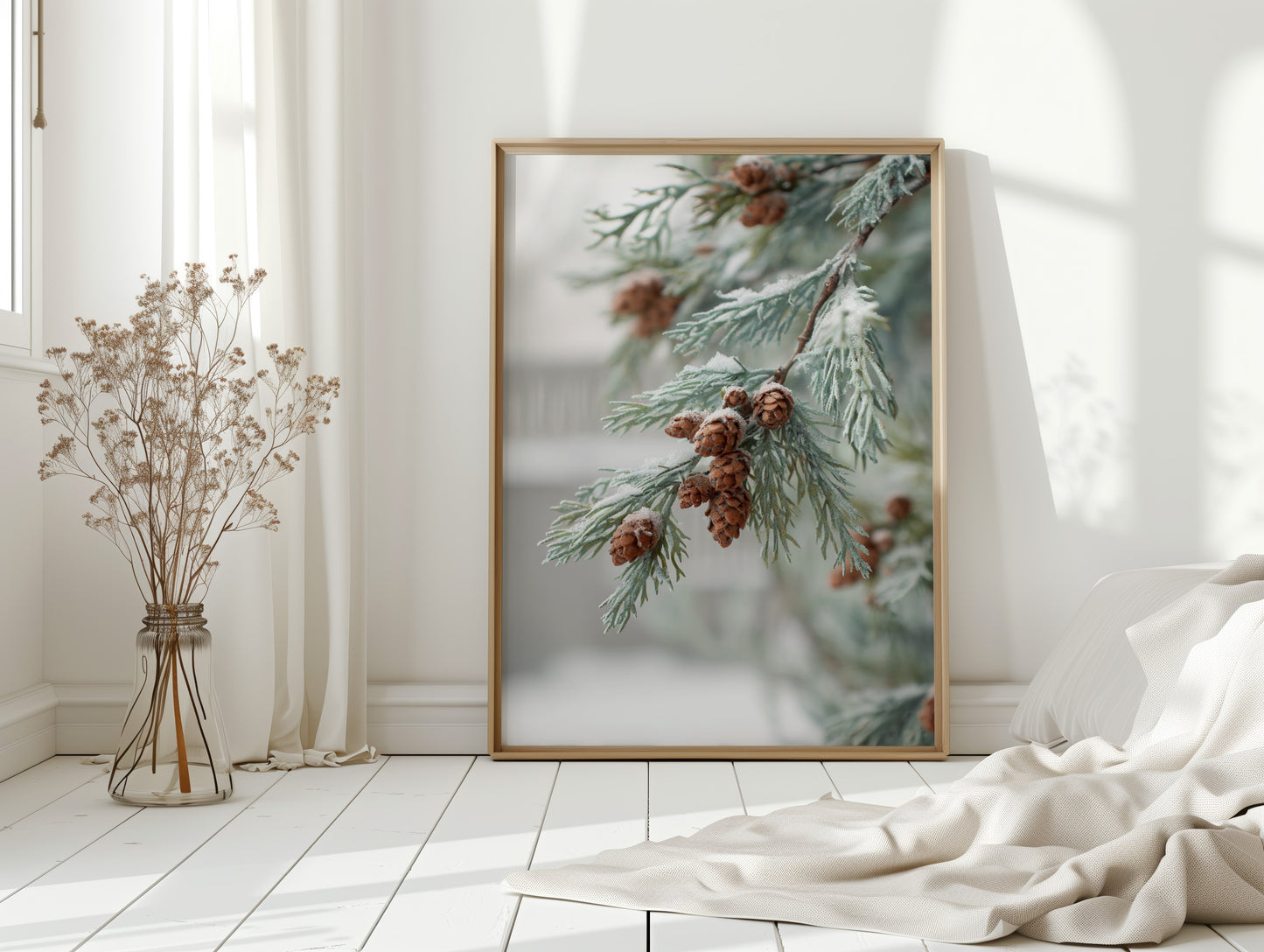 Frosted Pines Hold Their Secrets