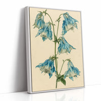 Nodding Blues: A Columbine Study