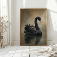 Elegance Adrift on Still Waters
