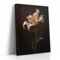 Solitary Bloom Against Midnight Depths