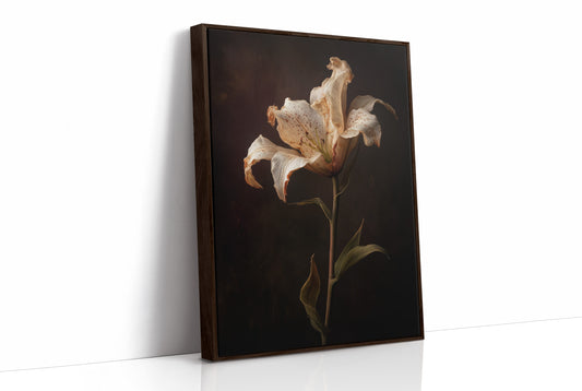 Solitary Bloom Against Midnight Depths