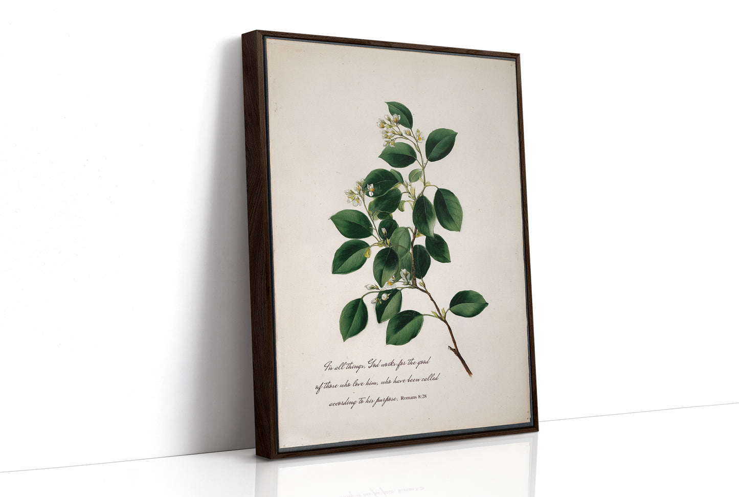 Botanical Faith On Wooden Table