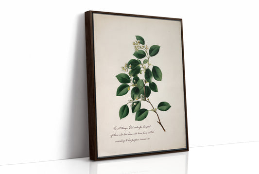 Botanical Faith On Wooden Table