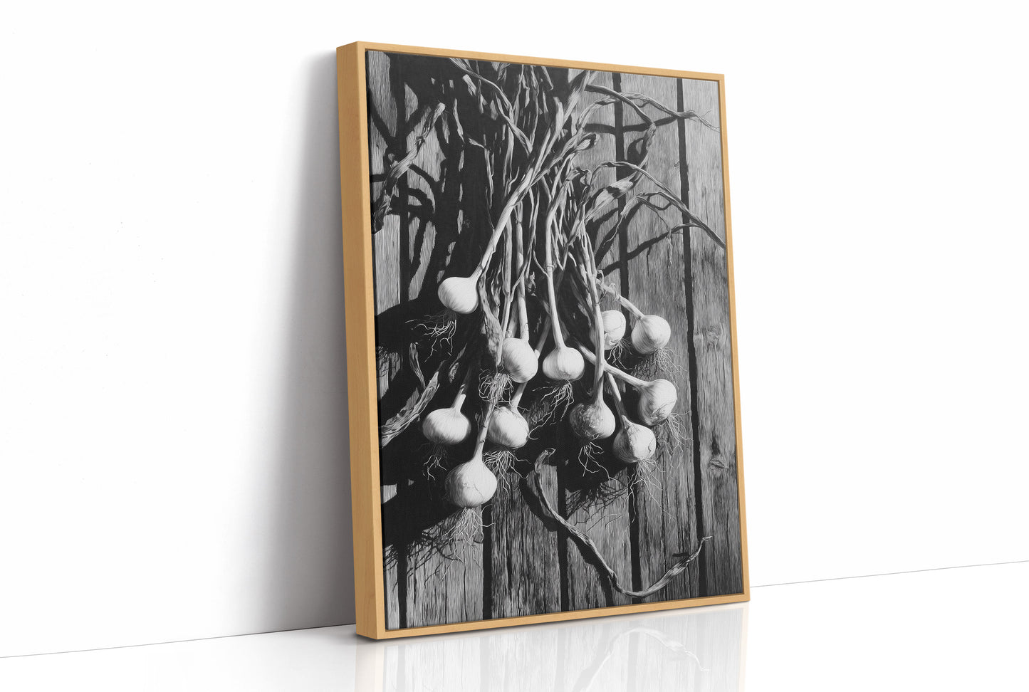 Garlic Hanging In Shadow