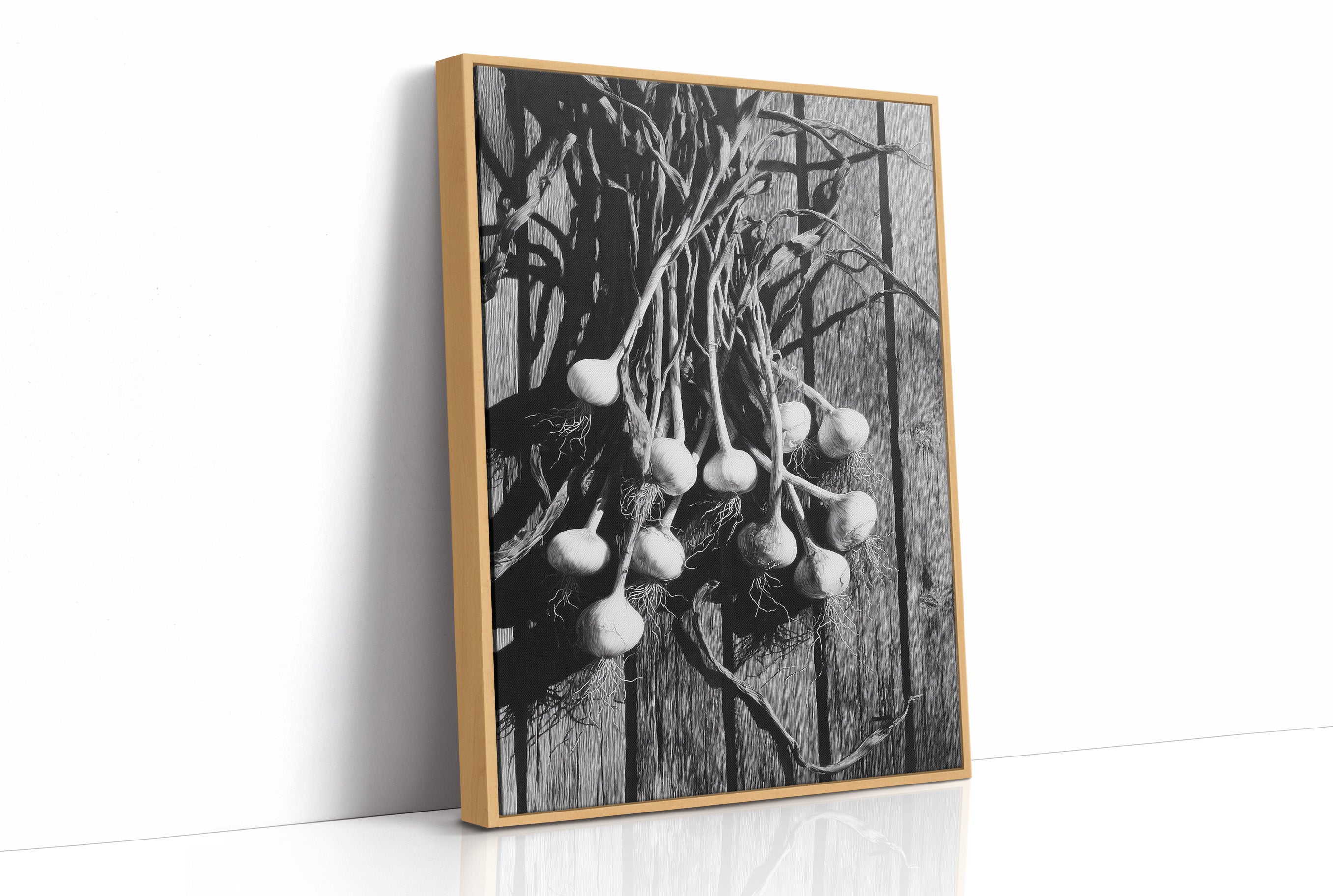 Garlic Hanging In Shadow