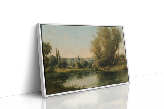 Poplars Mirror Summer's Gentle Light