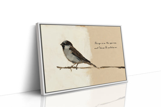 Lone Sparrow, Watchful Eye