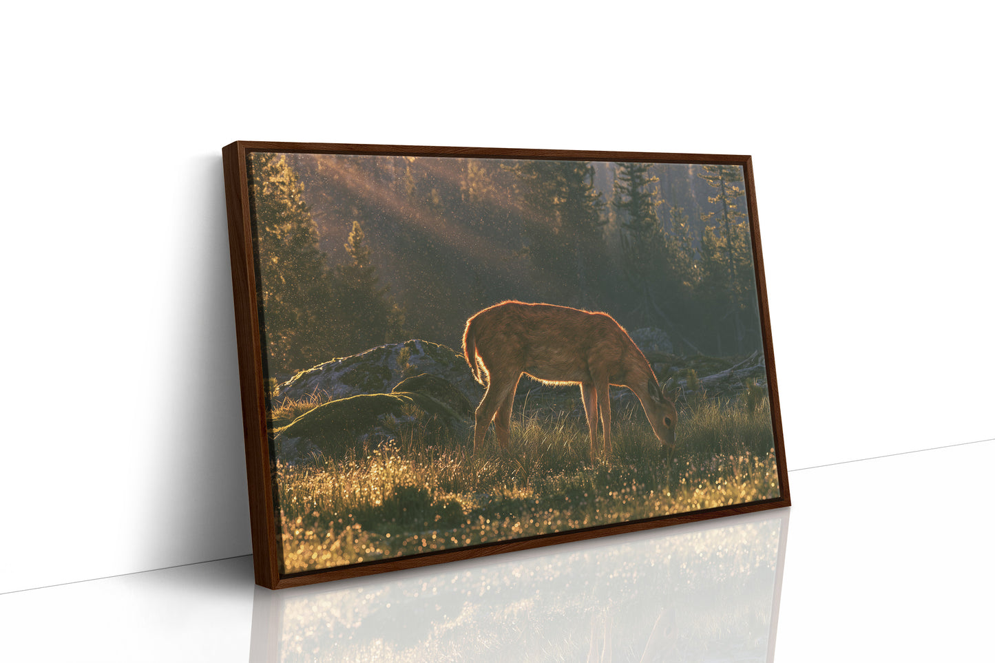 Grazing in the Golden Dew