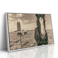 Frontier and Tower