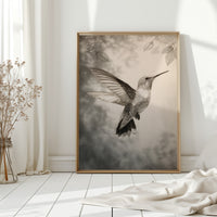 A Dance of Feathered Grace