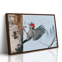 Woodpecker in Mid-Strike