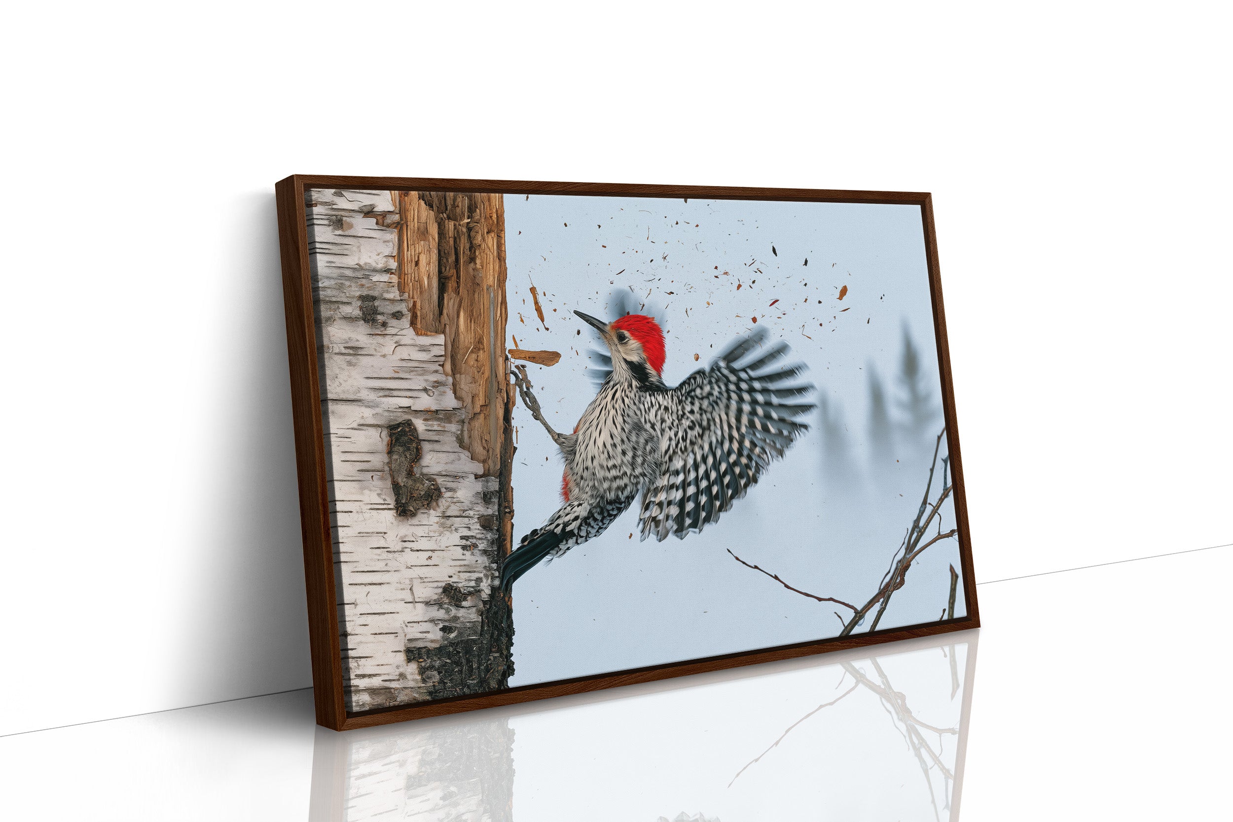 Woodpecker in Mid-Strike