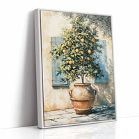 Lemons, Light, and Terracotta