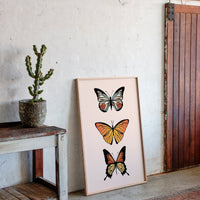 Three Wings Tell Summer Stories