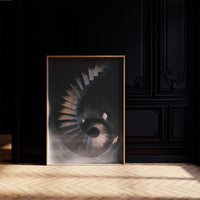 The Spiral Descent