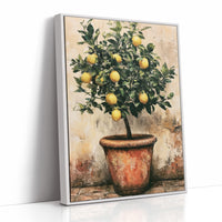 Potted Lemon Tree in Terracotta Light
