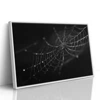 Dew Caught In Midnight Threads