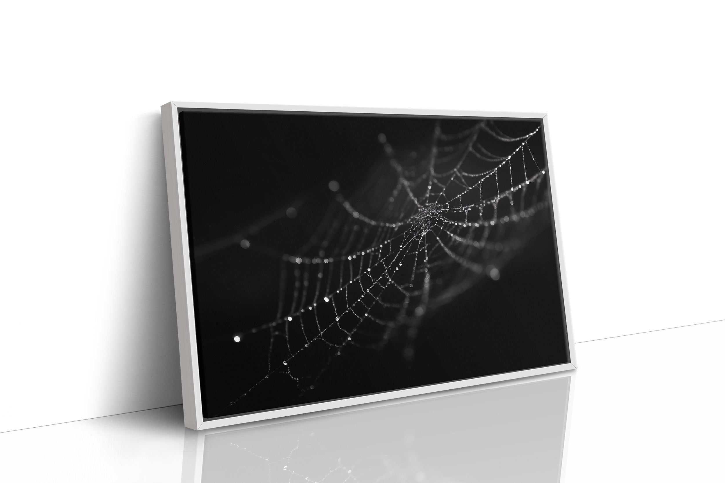 Dew Caught In Midnight Threads