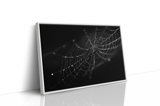 Dew Caught In Midnight Threads