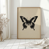A Flutter Beneath Ancient Pages