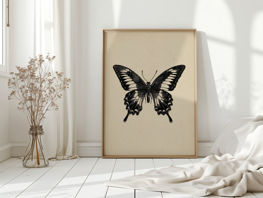 A Flutter Beneath Ancient Pages