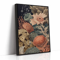 Coral Gardens Whisper Ancient Secrets