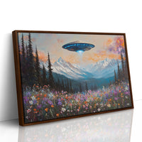 Cosmic Visitors Above Alpine Meadows