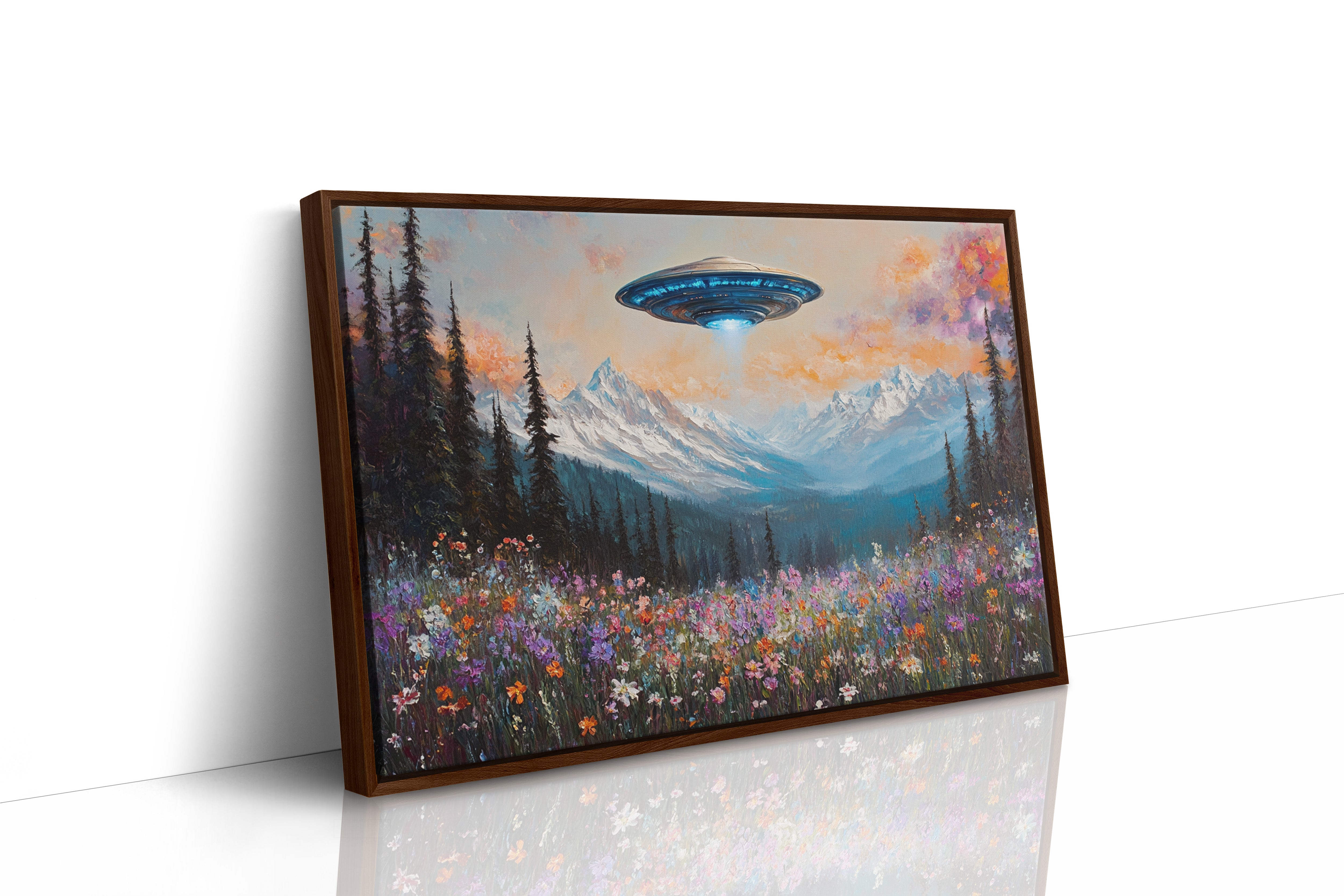 Cosmic Visitors Above Alpine Meadows