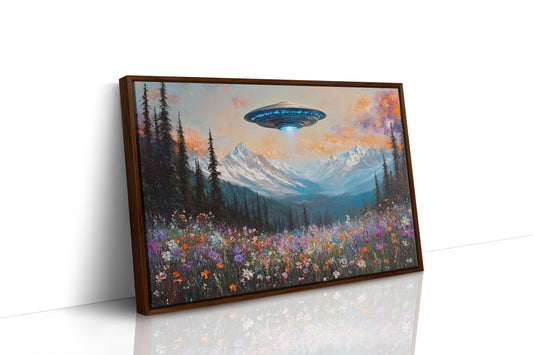 Cosmic Visitors Above Alpine Meadows