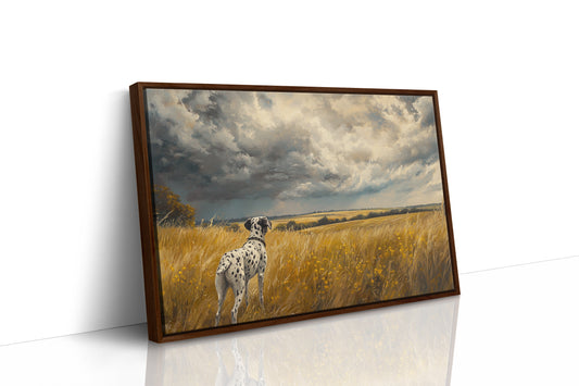 Storm Clouds Call A Dalmatian Home