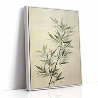 Bamboo Leaves Dance In Morning Light