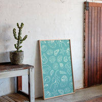 Seashells Draw Maps To Paradise